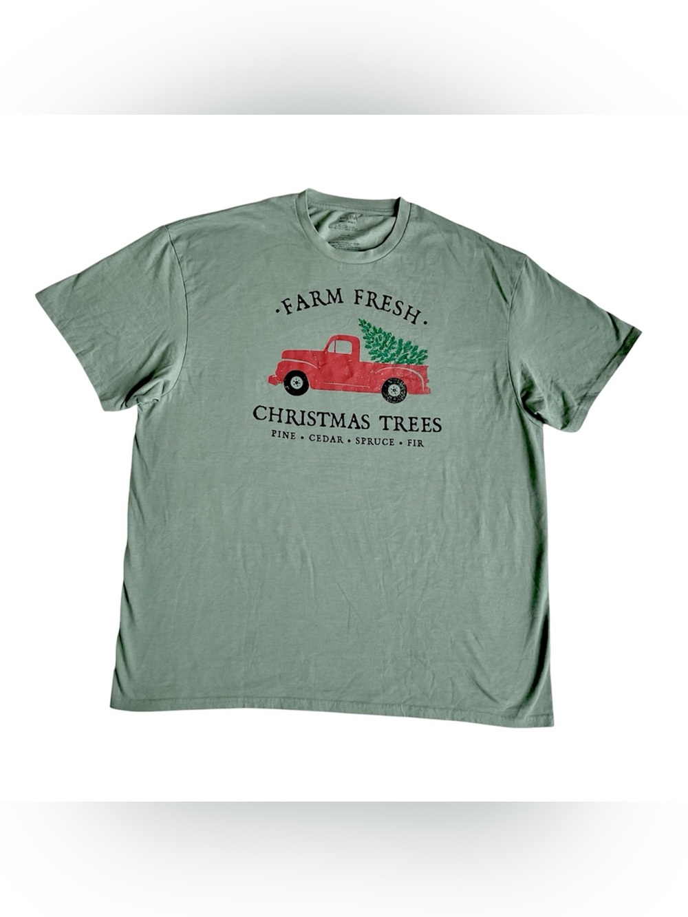 Celebrate It Sage Green Tee with Red Truck Graphic